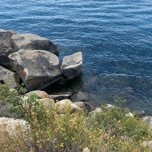 Meet your Posher, Reyna